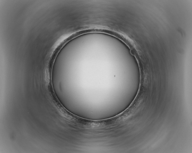 X0000112061271200908181150