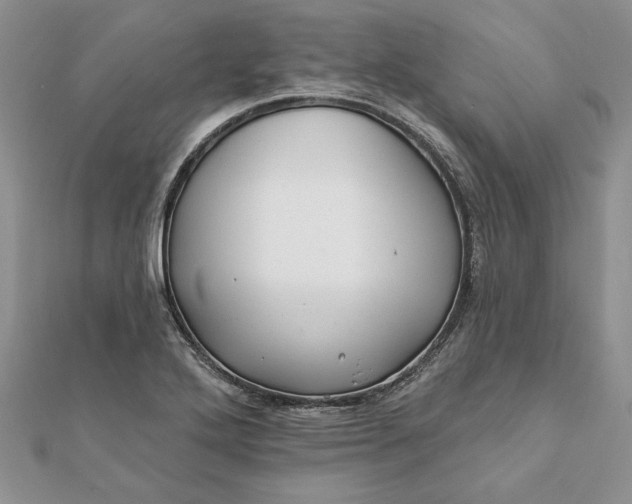 X0000112061272200908181150