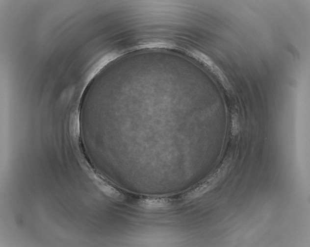 X0000112061274200908181150