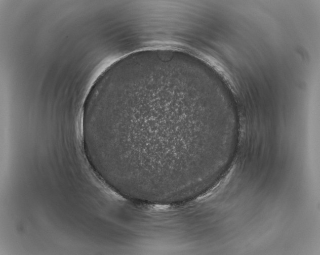 X0000112061275200908181150