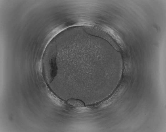 X0000112061276200908181150