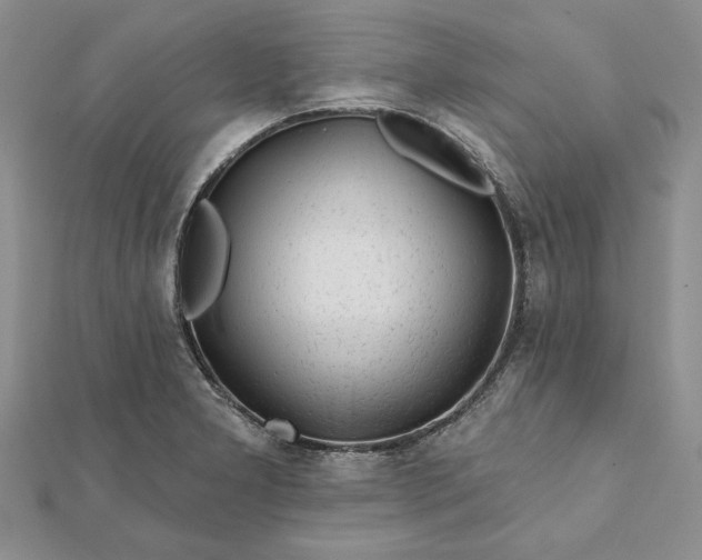 X0000112061277200908181150