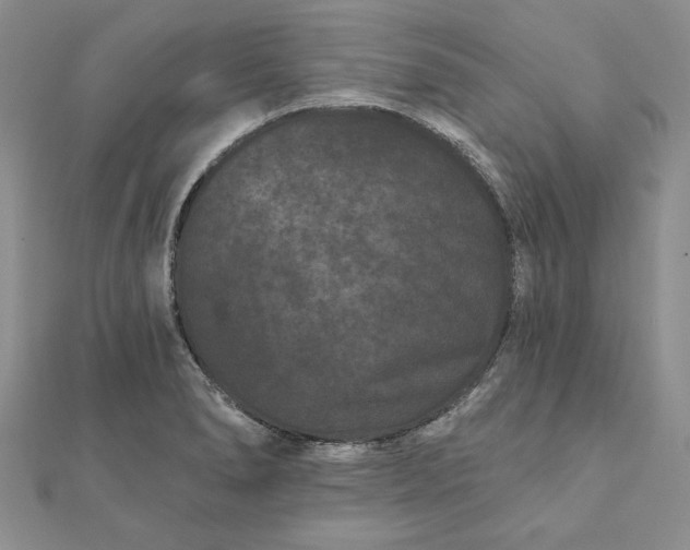 X0000112061278200908181150