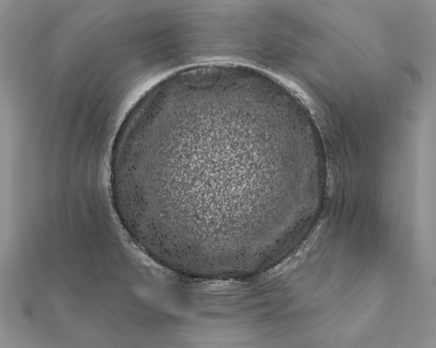 X0000112061279200908181150