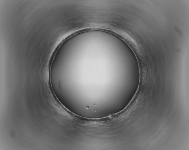 X0000112061280200908181150