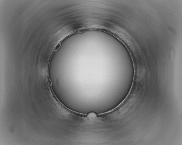 X0000112061281200908181150