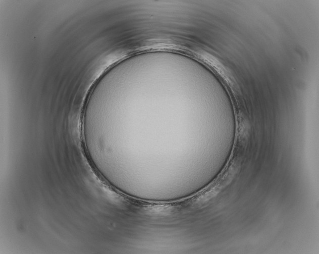 X0000112061282200908181150