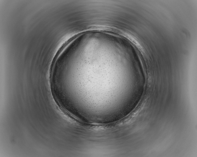 X0000112061283200908181150