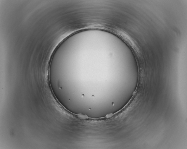 X0000112061284200908181150