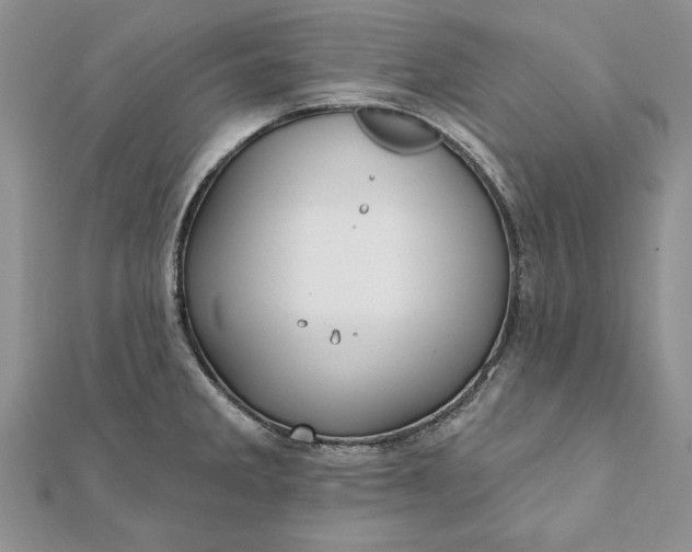 X0000112061285200908181149