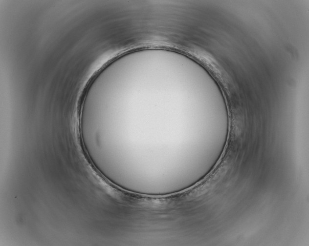 X0000112061286200908181149