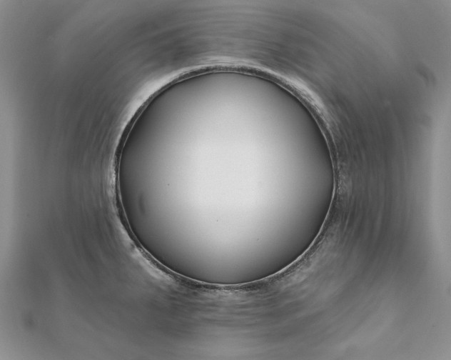 X0000112061287200908181149