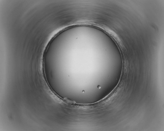 X0000112061288200908181149