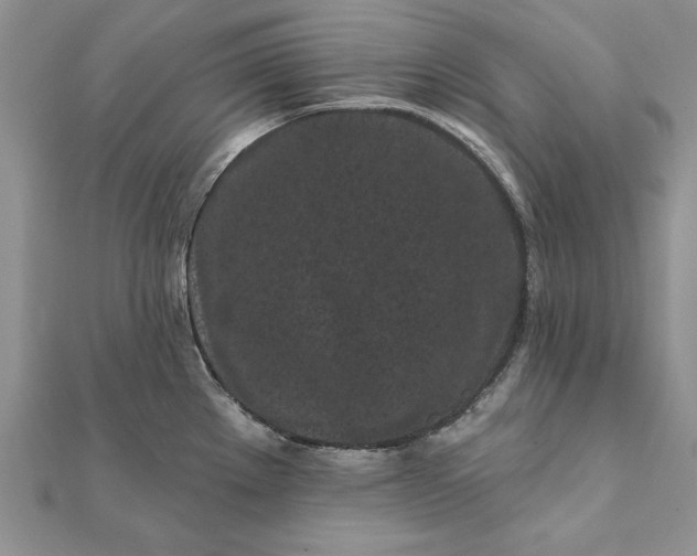 X0000112061289200908181149