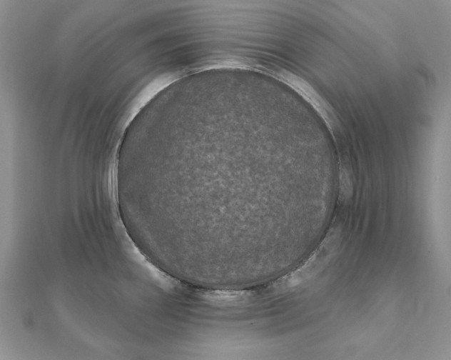 X0000112061290200908181149