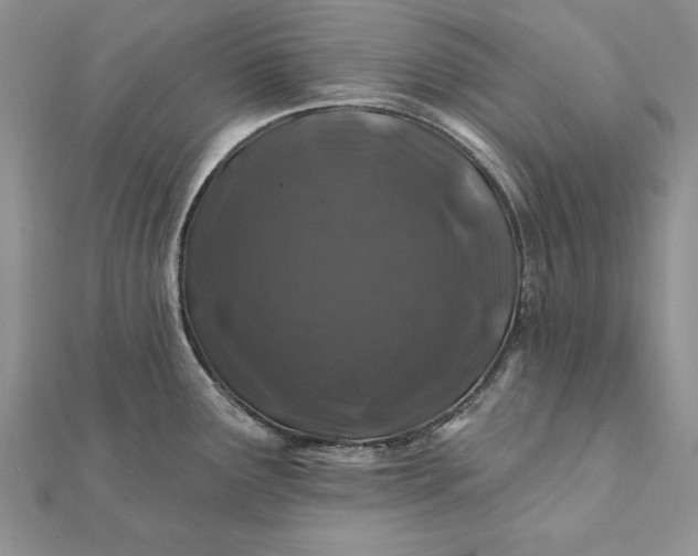 X0000112061291200908181149