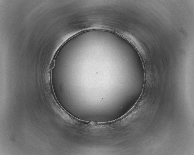 X0000112061292200908181149