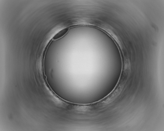 X0000112061293200908181149