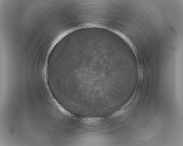 X0000112061294200908181149