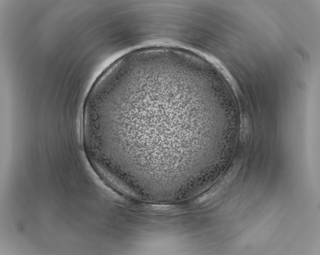 X0000112061295200908181149