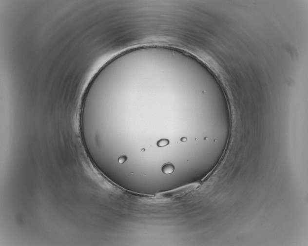 X0000112061296200908181149