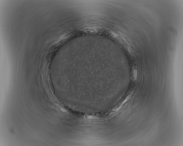 X0000112061297200908181149