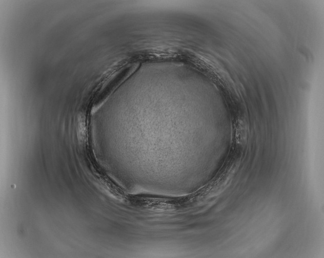 X0000112061298200908181149