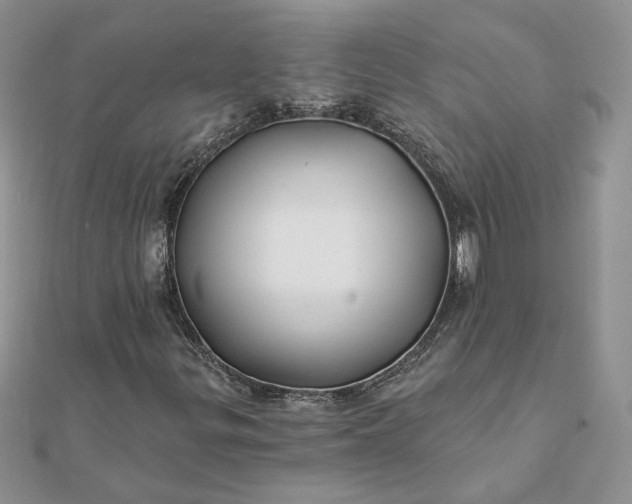 X0000112061299200908181149