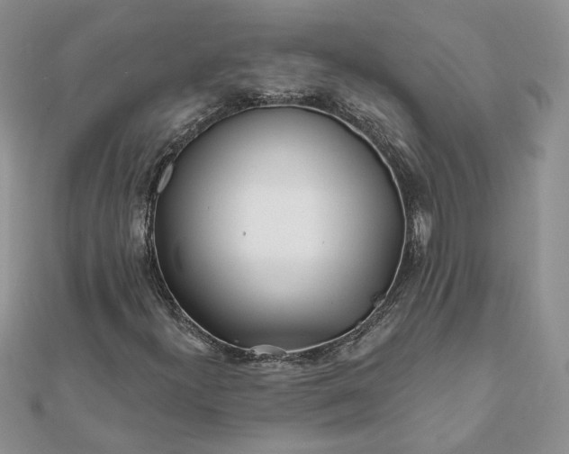 X0000112061300200908181149