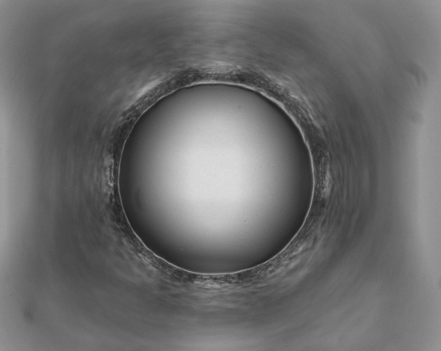 X0000112061301200908181149