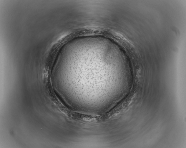 X0000112061302200908181149