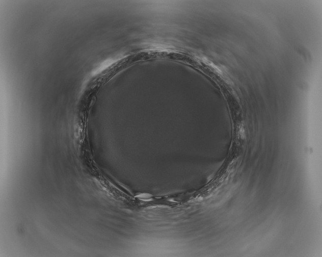 X0000112061303200908181149