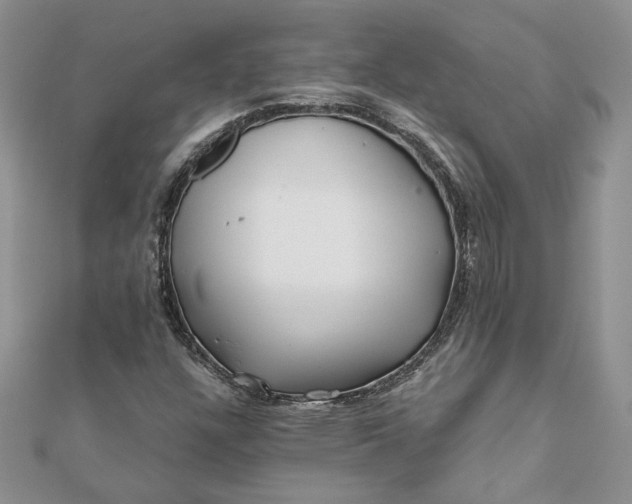 X0000112061304200908181149