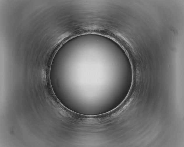 X0000112061305200908181149