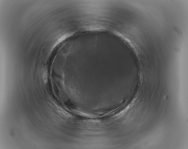 X0000112061306200908181149