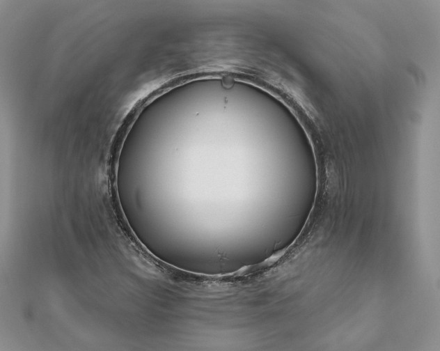 X0000112061308200908181149