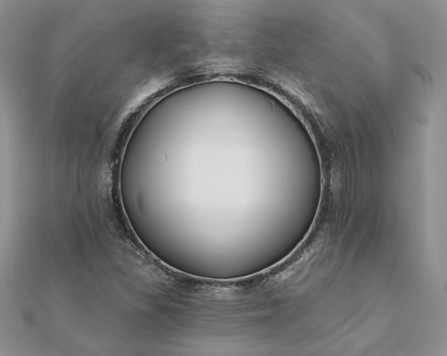 X0000112061309200908181149