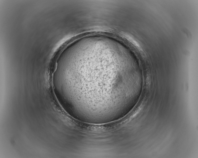 X0000112061310200908181149