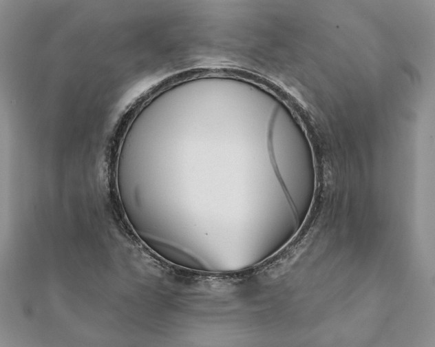 X0000112061311200908181149