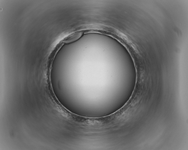 X0000112061312200908181149