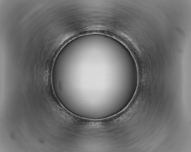 X0000112061313200908181149