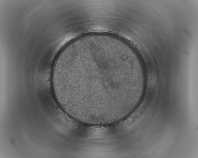 X0000112061314200908181149