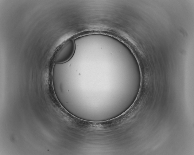 X0000112061315200908181149