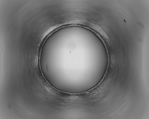 X0000112061316200908181149