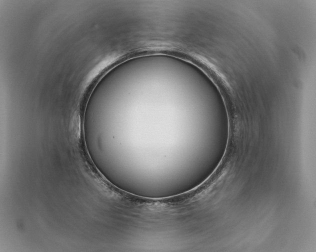 X0000112061317200908181149