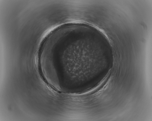 X0000112061319200908181149