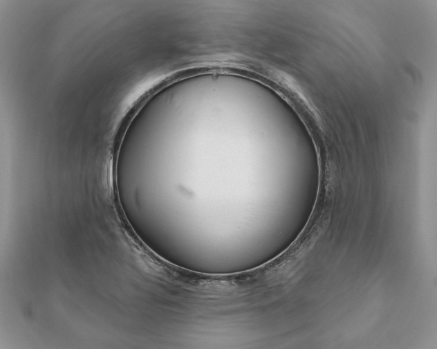 X0000112061320200908181149