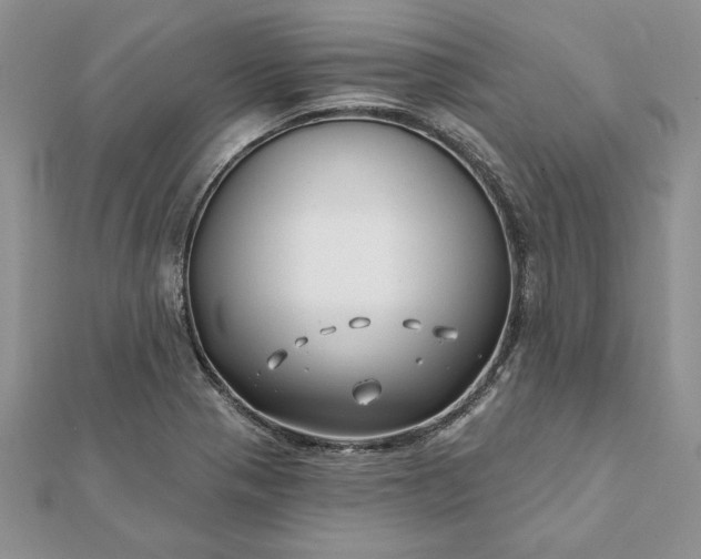 X0000112061321200908181149