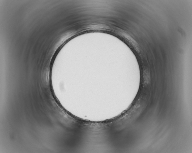 X0000112061322200908181149