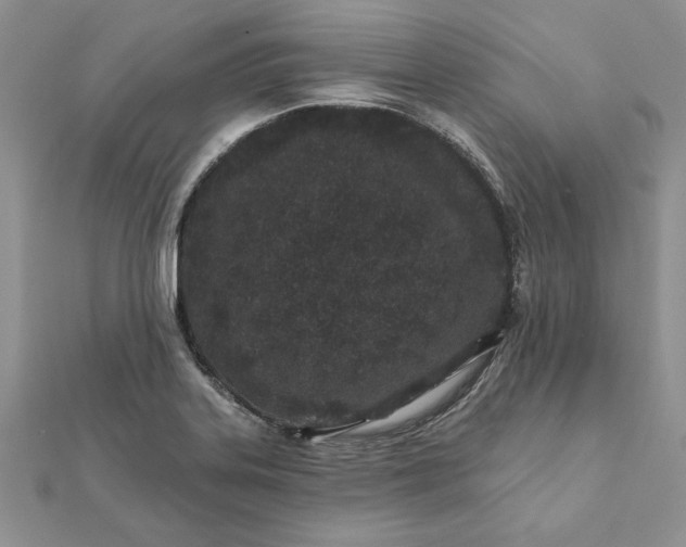 X0000112061323200908181149